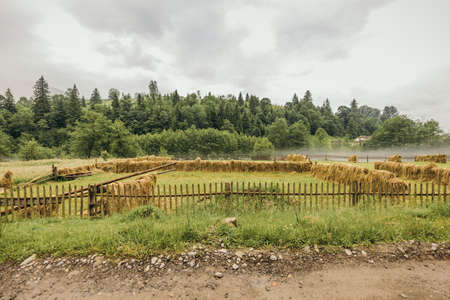 A train traveling down train tracks near a fieldの写真素材