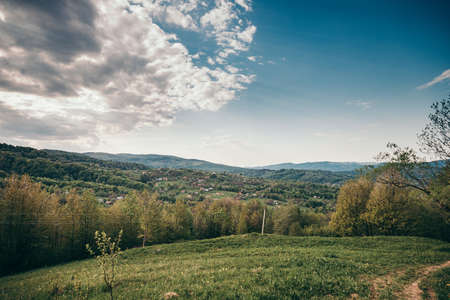 A herd of sheep grazing on a lush green fieldの写真素材