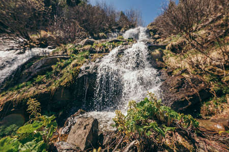 A large waterfall in a forestの写真素材