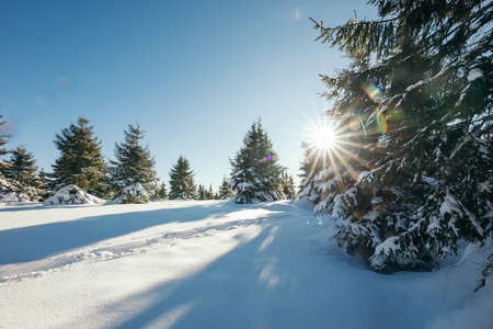A person riding skis down a snow covered slopeの写真素材