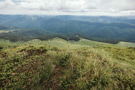 A view of a lush green hillsideの写真素材