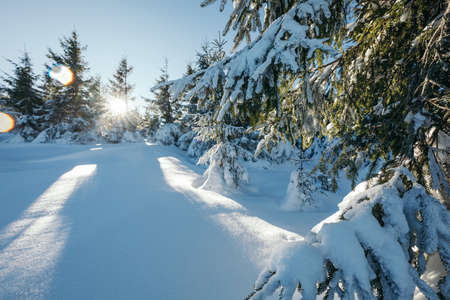 A man cross country skiing in the snowの写真素材