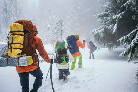 A group of people cross country skiing in the snowの写真素材