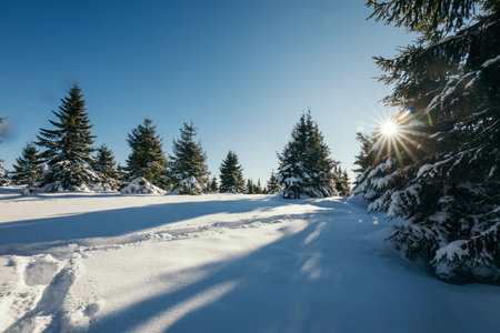A man riding skis down a snow covered slopeの写真素材
