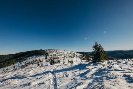 A man riding skis down a snow covered slopeの写真素材