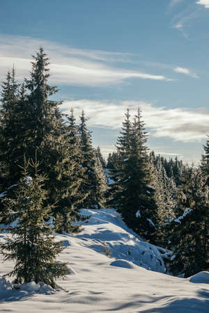 A man riding skis down a snow covered slopeの写真素材