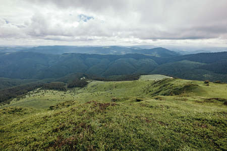 A field with a mountain in the backgroundの写真素材