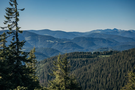 A tree with a mountain in the backgroundの写真素材