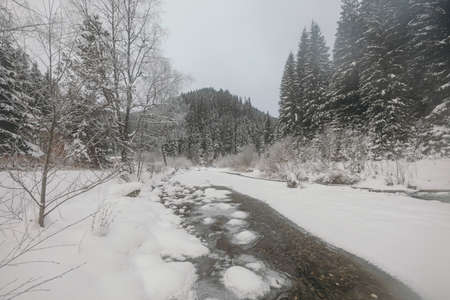 A path with trees on the side of a snow covered slopeの写真素材