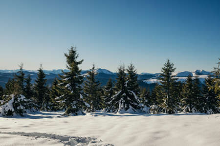 A man standing on top of a snow covered slopeの写真素材