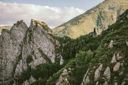 A rocky mountain with trees in the backgroundの写真素材