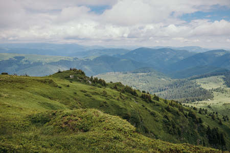 A large green field with a mountain in the backgroundの写真素材