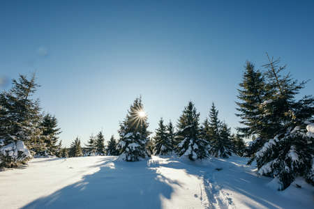 A man riding skis down a snow covered slopeの写真素材