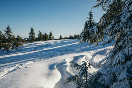 A snow covered slope travelの写真素材