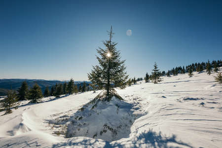 A man riding a snowboard down a snow covered slopeの写真素材