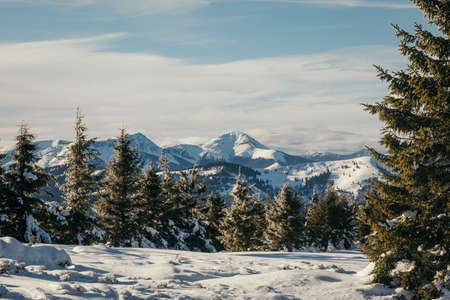 A snow covered slope travelの写真素材
