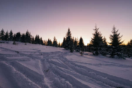 A close up of a snow covered fieldの写真素材