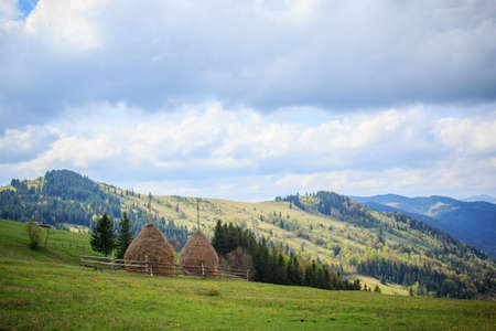 A large green field with a mountain in the backgroundの写真素材