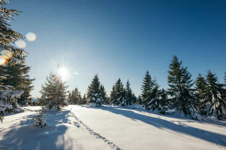A man riding skis down a snow covered slopeの写真素材