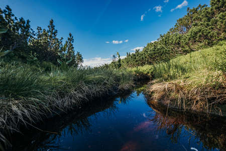 A close up of a pondの写真素材