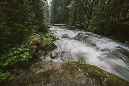 A large waterfall in a forestの写真素材