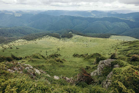 A herd of sheep standing on top of a mountainの写真素材