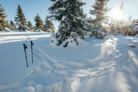 A close up of a snow covered slopeの写真素材