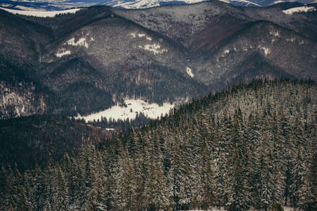 A group of people standing on top of a mountainの写真素材