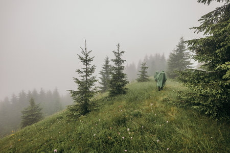 A close up of a hillside next to a treeの写真素材