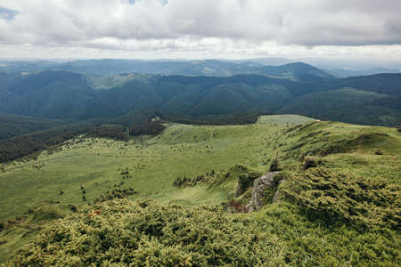 A field with a mountain in the backgroundの写真素材
