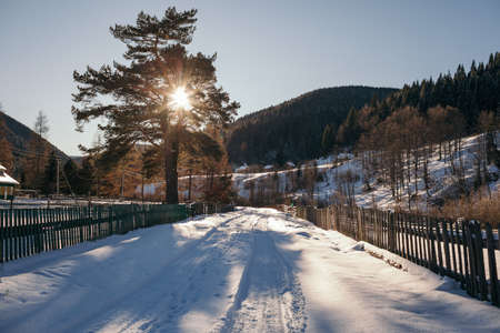 A path with trees on the side of a snow covered bridgeの写真素材