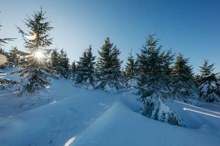 A close up of a snow covered slopeの写真素材