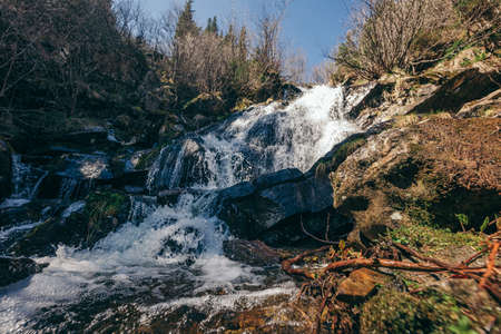 A waterfall in a forestの写真素材