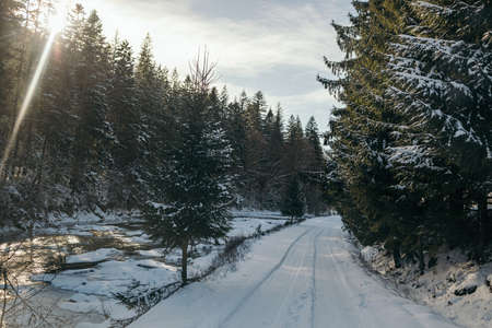 A tree covered in snowの写真素材