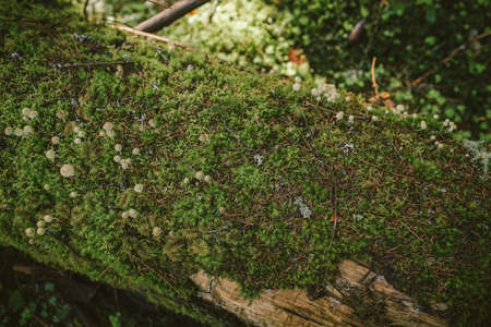 A close up of a signの写真素材
