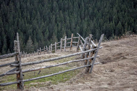 A close up of a fenceの写真素材