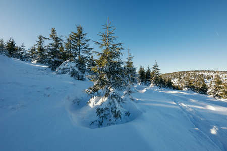 A man riding skis down a snow covered slopeの写真素材