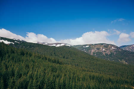 A field with a mountain in the backgroundの写真素材