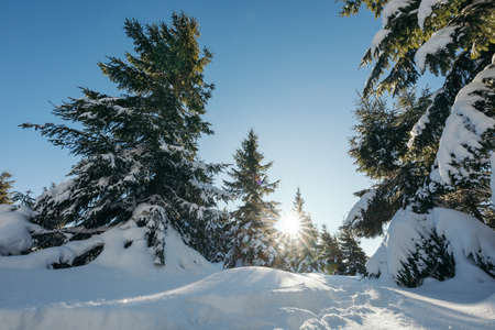 A man riding skis down a snow covered slopeの写真素材