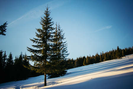 A man riding skis down a snow covered slopeの写真素材