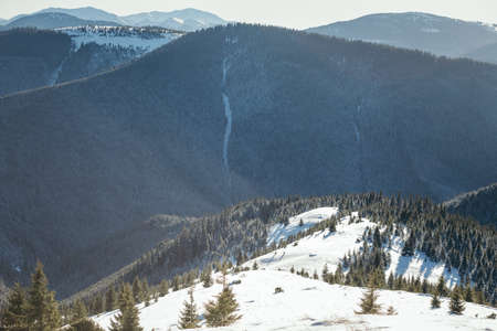 A man riding a snowboard down a snow covered mountainの写真素材