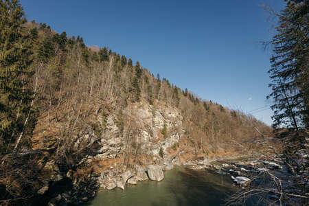 A tree with a mountain in the backgroundの写真素材