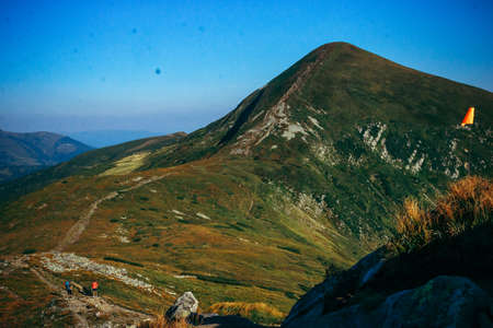 A flock of seagulls standing on a rocky hillの写真素材