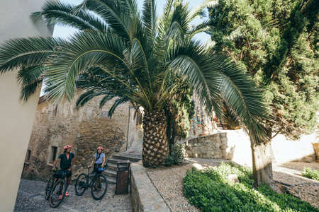 A bicycle next to a palm treeの写真素材