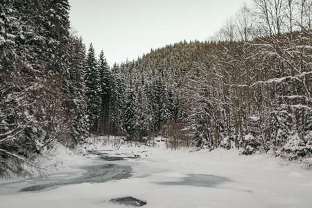 A man riding on top of a snow covered forestの写真素材