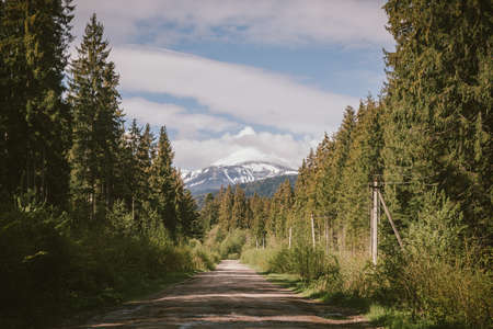 A path with trees on the side of a mountainの写真素材