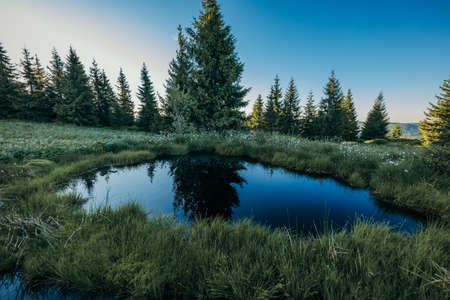 A river running through a forestの写真素材