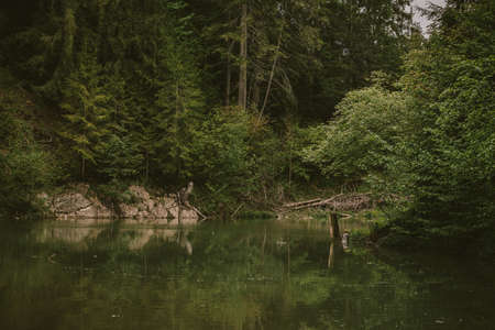 A river running through a wooded areaの写真素材