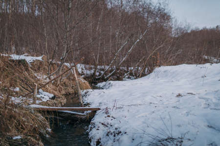 A man riding on top of a snow covered forestの写真素材
