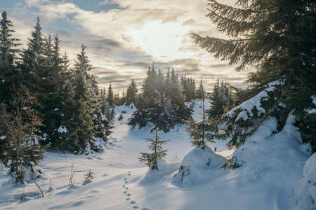A man riding skis down a snow covered slopeの写真素材